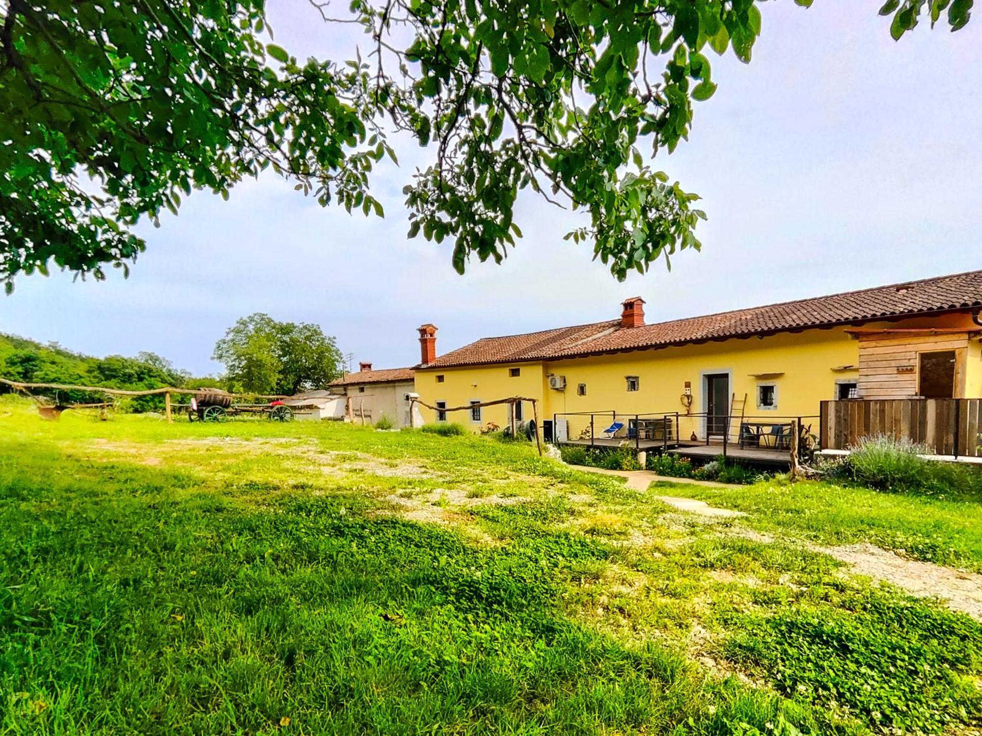 Homestead Zavadlal - Domacija Zavadlal Komen Exterior photo